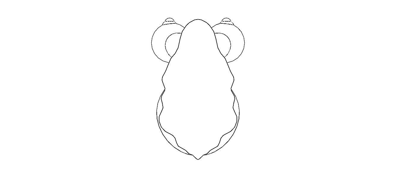 3D Art Surface Little Snail 3D print model_30