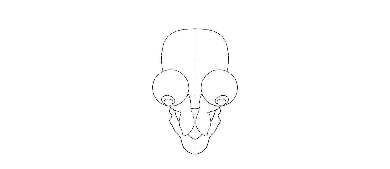 3D Art Surface Little Snail 3D print model_18