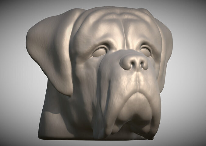 English Mastiff head for 3D printing 3D print model