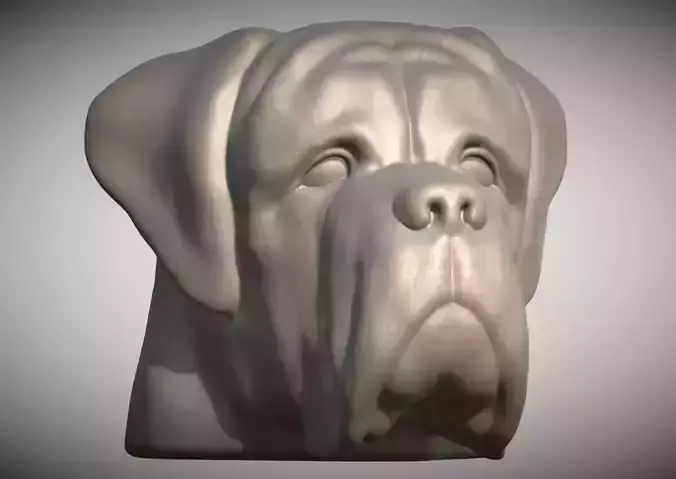 English Mastiff head for 3D printing 3D print model