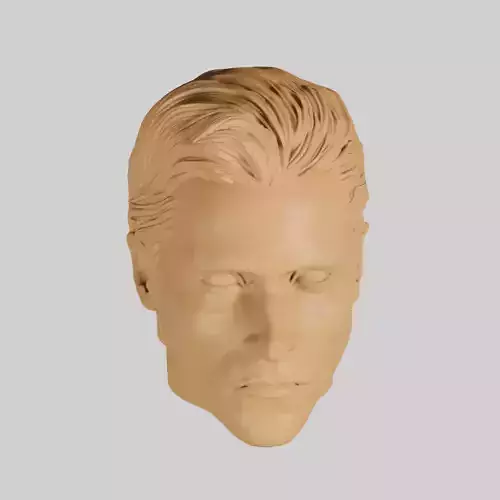 HEAD Christian Bale BATMAN 3D print model