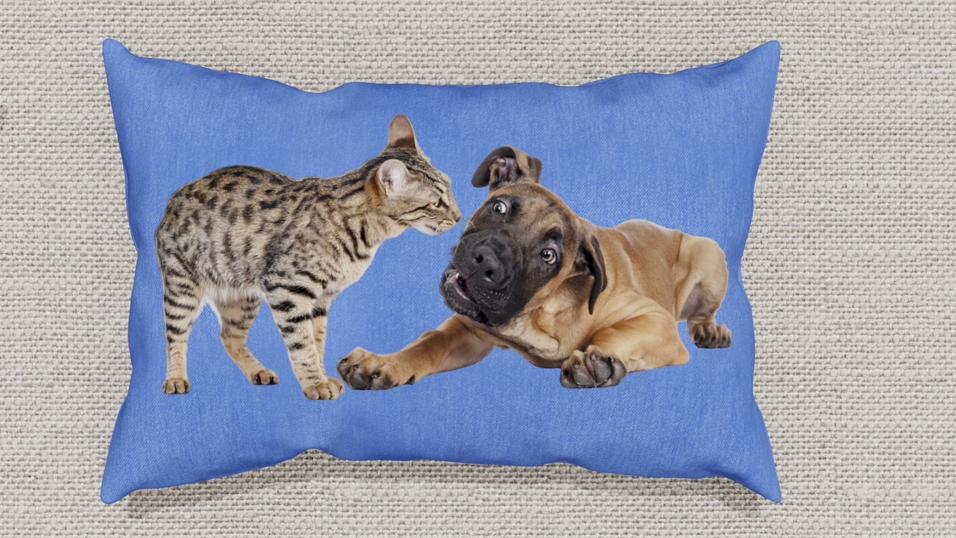 Pillows Low-poly 3D model_11