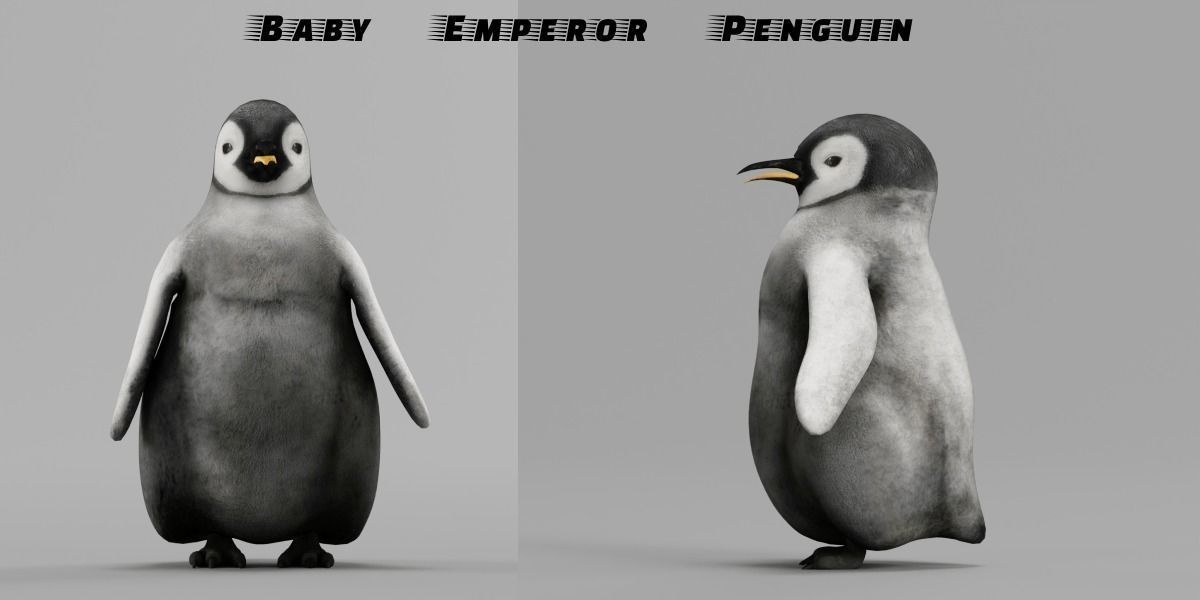 Emperor Penguin Baby Animal 3D model_7