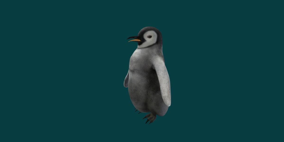Emperor Penguin Baby Animal 3D model_5