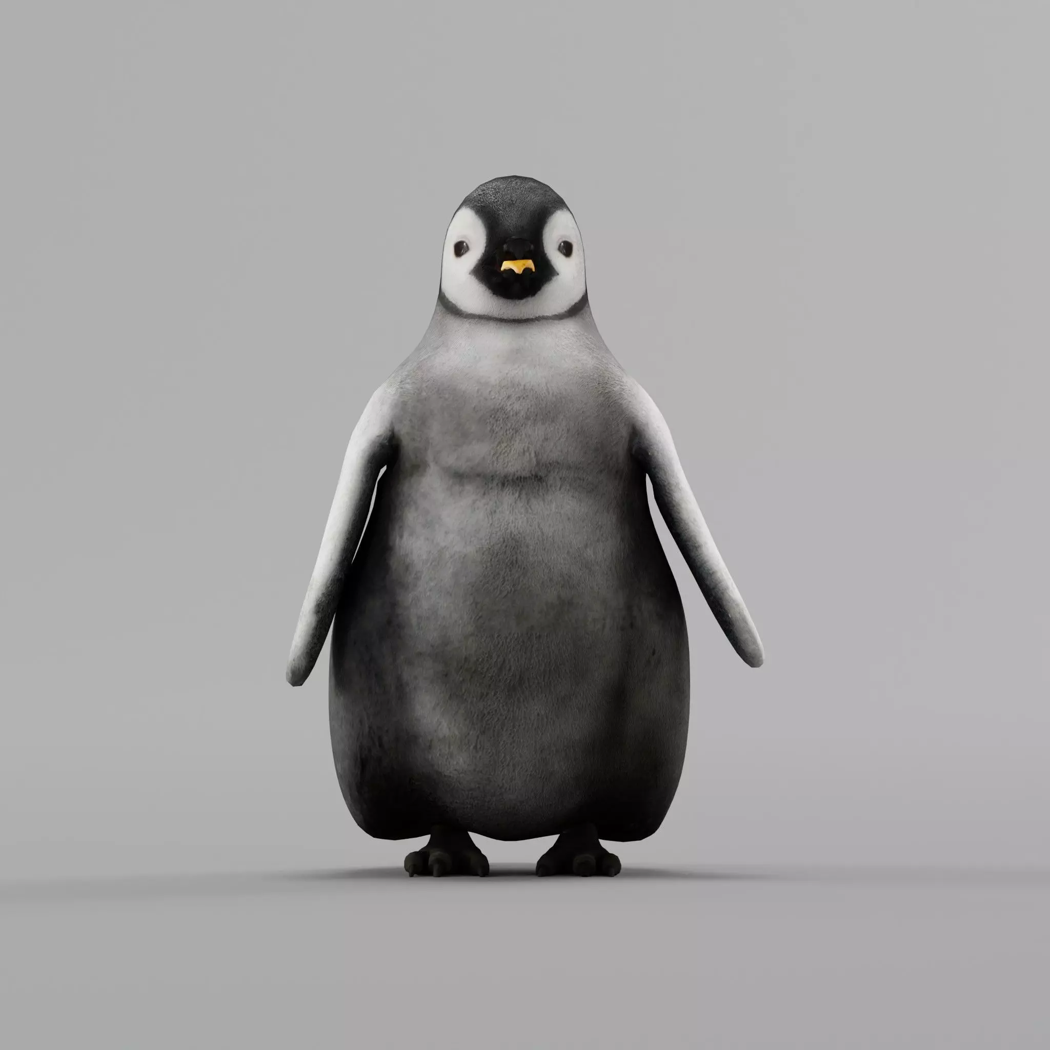 Emperor Penguin Baby Animal 3D model_0