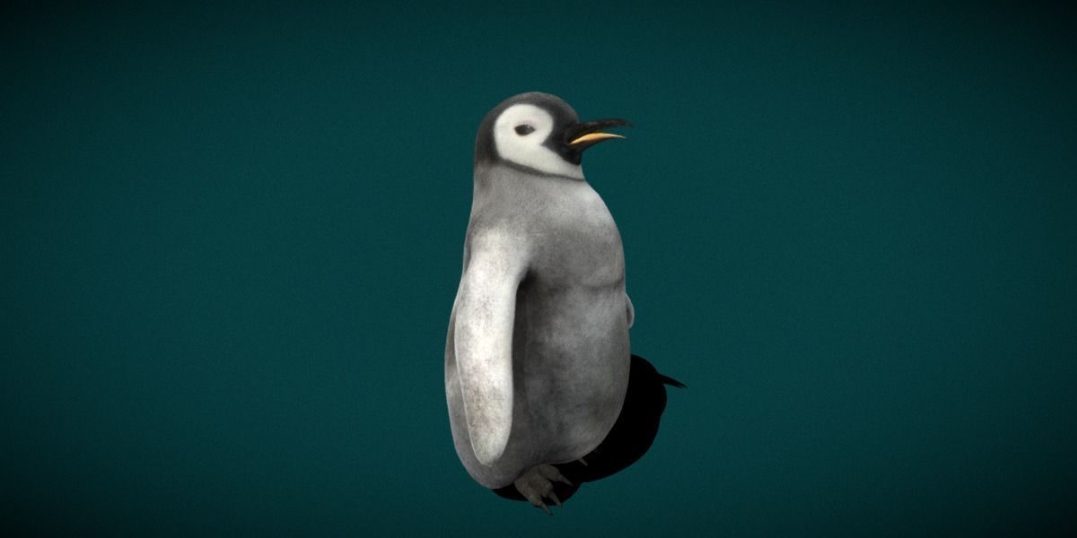 Emperor Penguin Baby Animal 3D model_13
