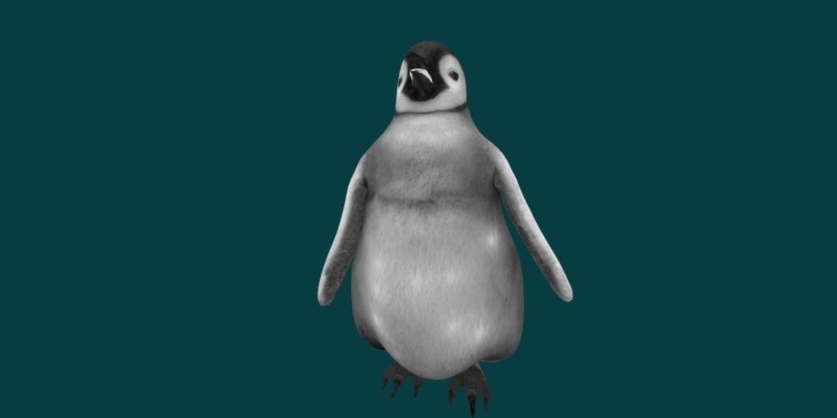 Emperor Penguin Baby Animal 3D model_14
