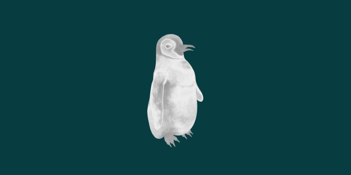 Emperor Penguin Baby Animal 3D model_8