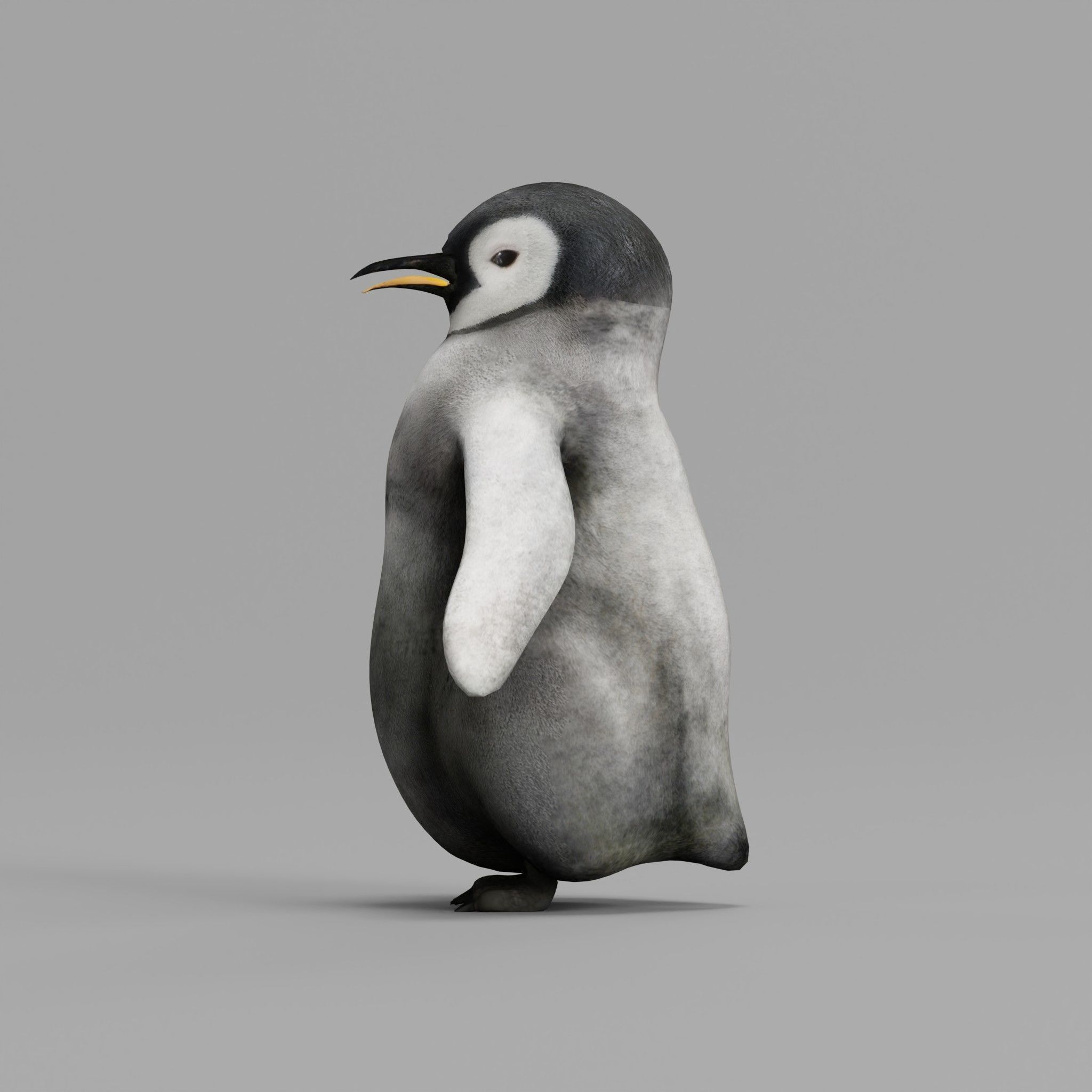 Emperor Penguin Baby Animal 3D model_20
