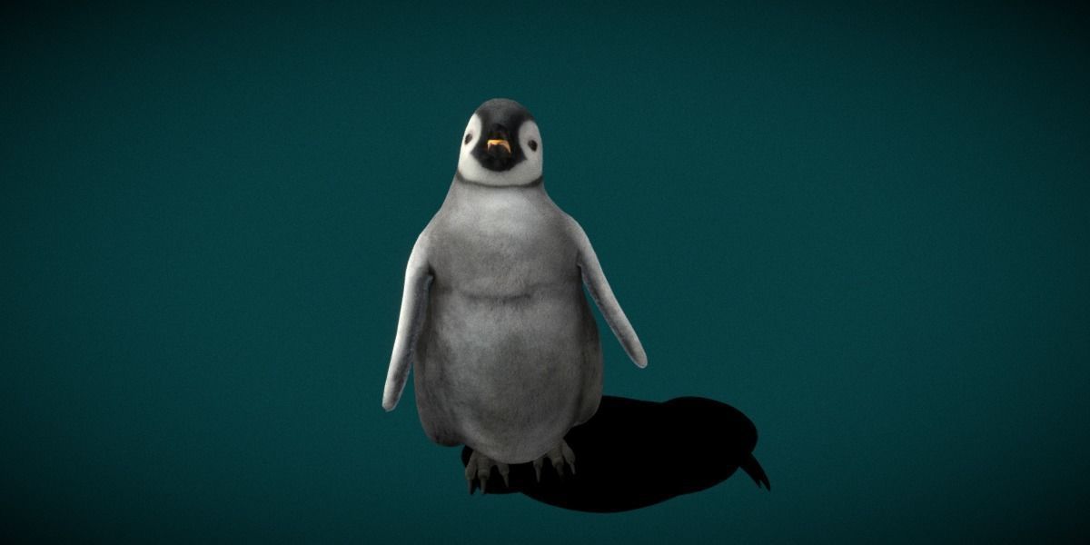 Emperor Penguin Baby Animal 3D model_17