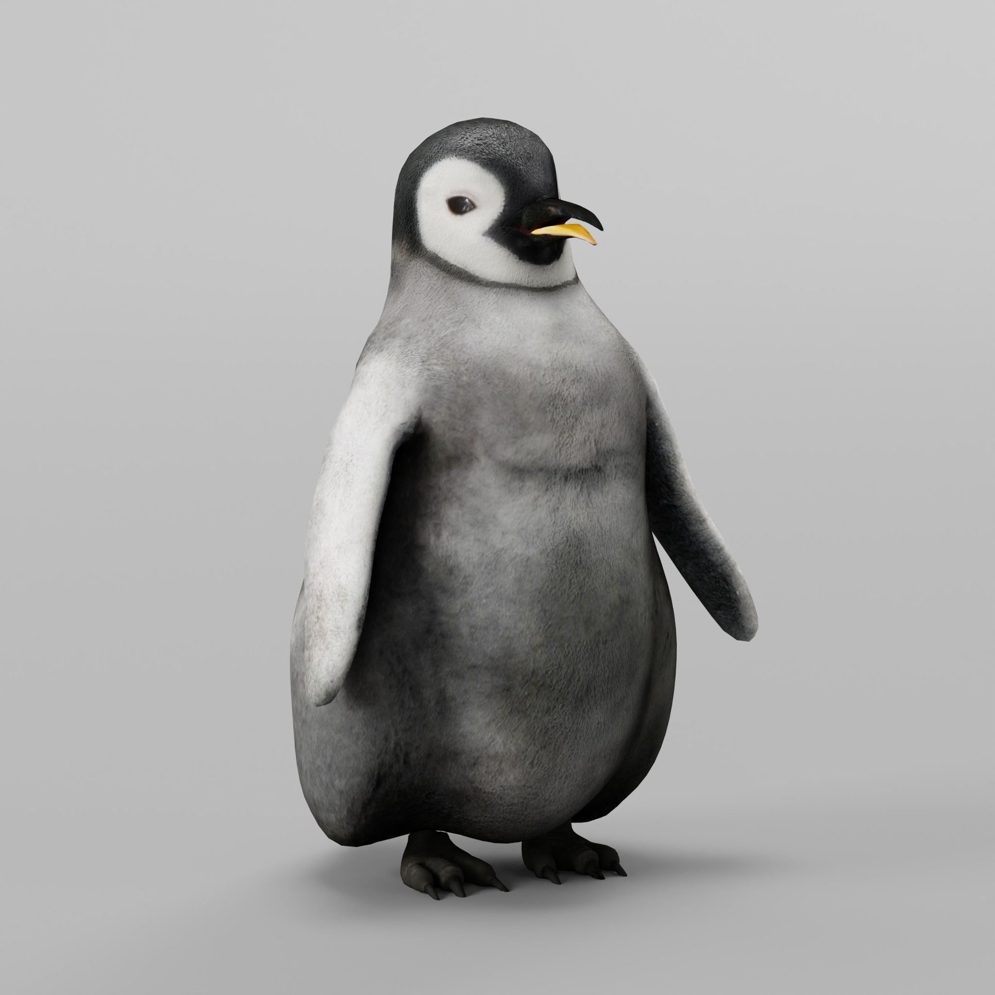 Emperor Penguin Baby Animal 3D model_19