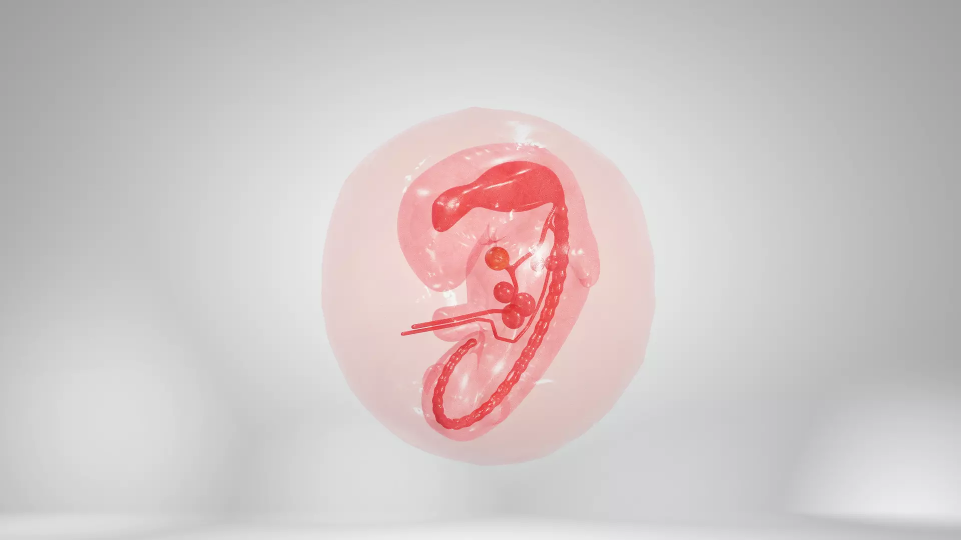 Cycle week 3-1 Low-poly 3D model