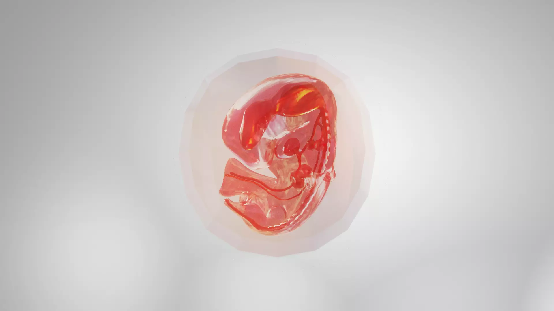 Cycle week 3-3 Low-poly 3D model