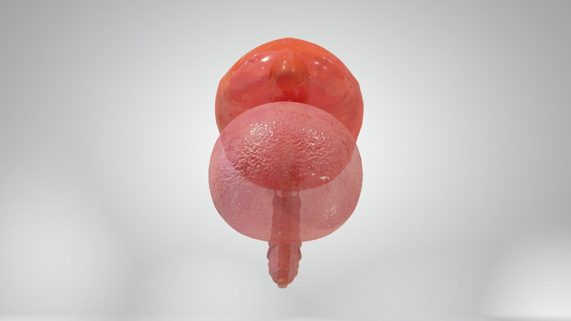 Cycle week 3-4 Low-poly 3D model_1