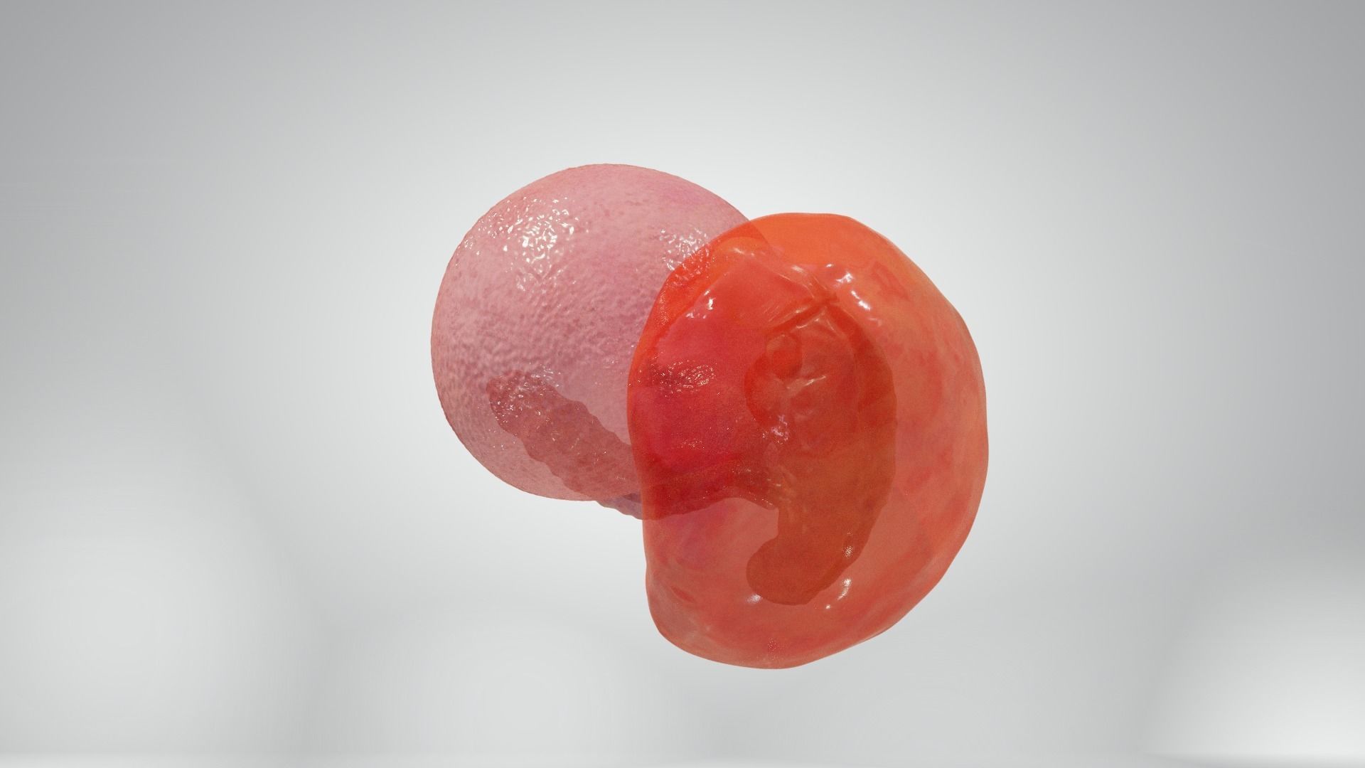 Cycle week 3-4 Low-poly 3D model_6