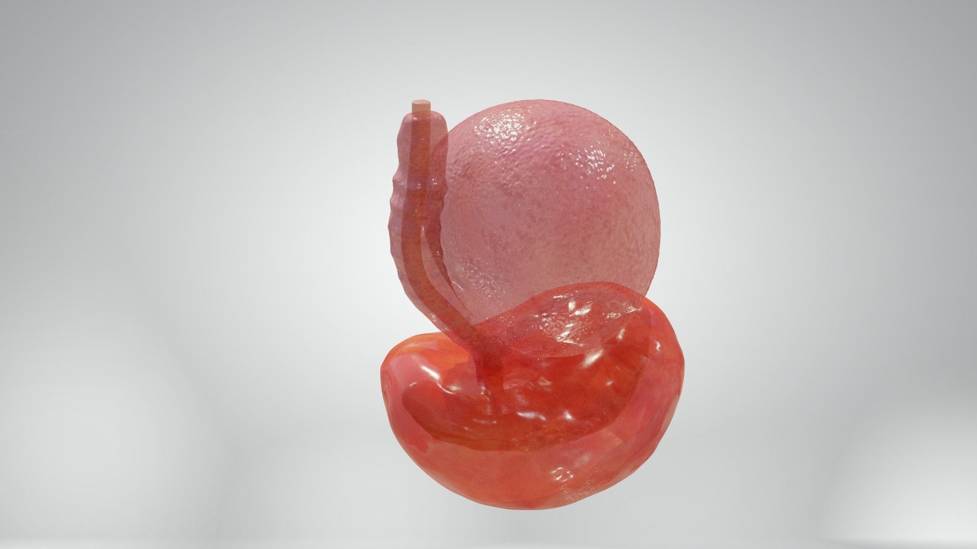 Cycle week 3-4 Low-poly 3D model_13