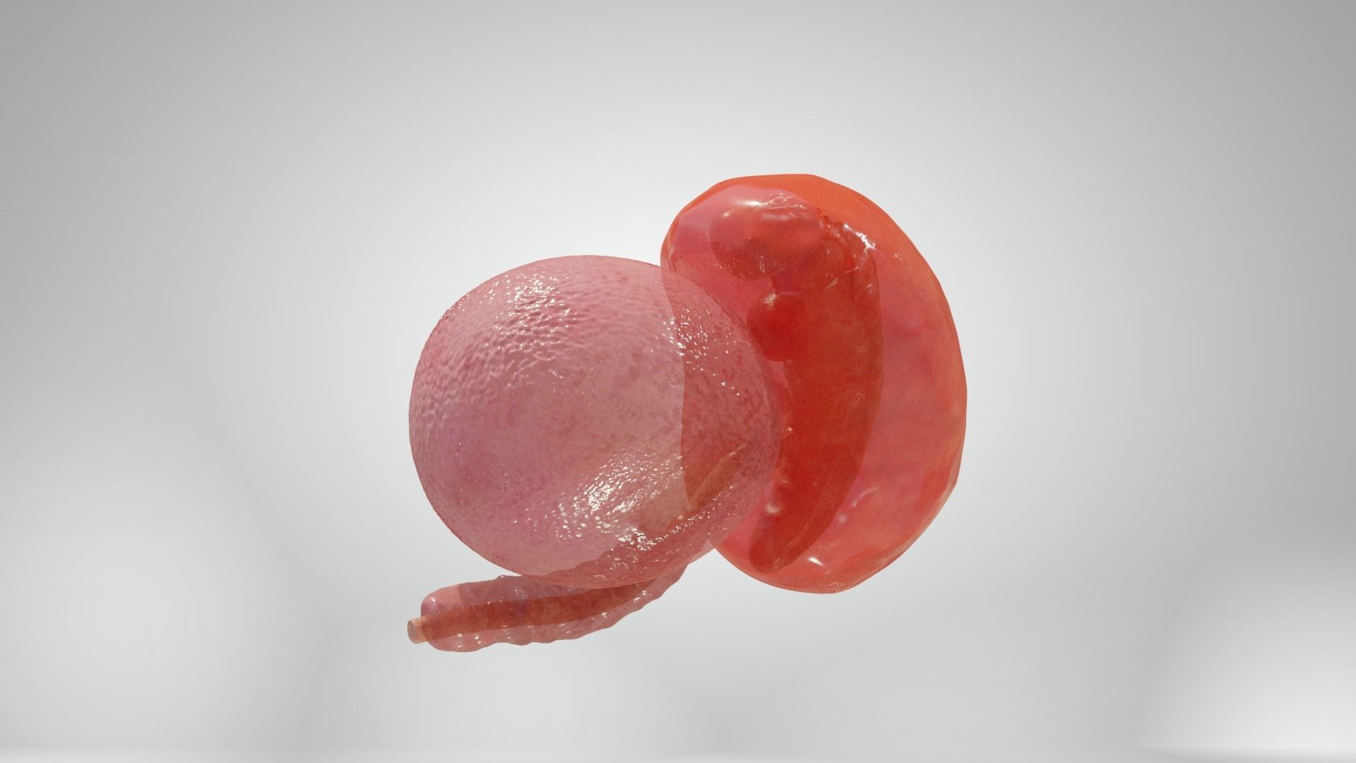 Cycle week 3-4 Low-poly 3D model_15