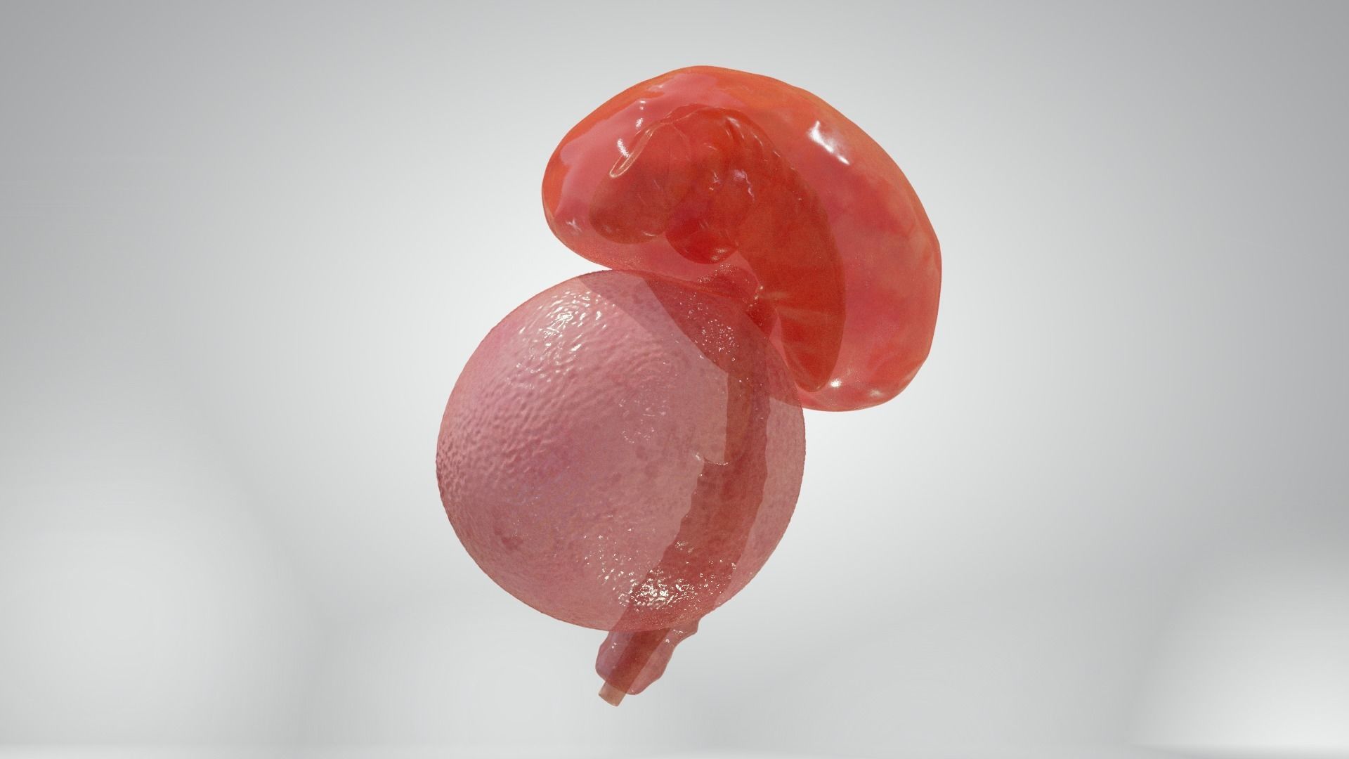 Cycle week 3-4 Low-poly 3D model_8