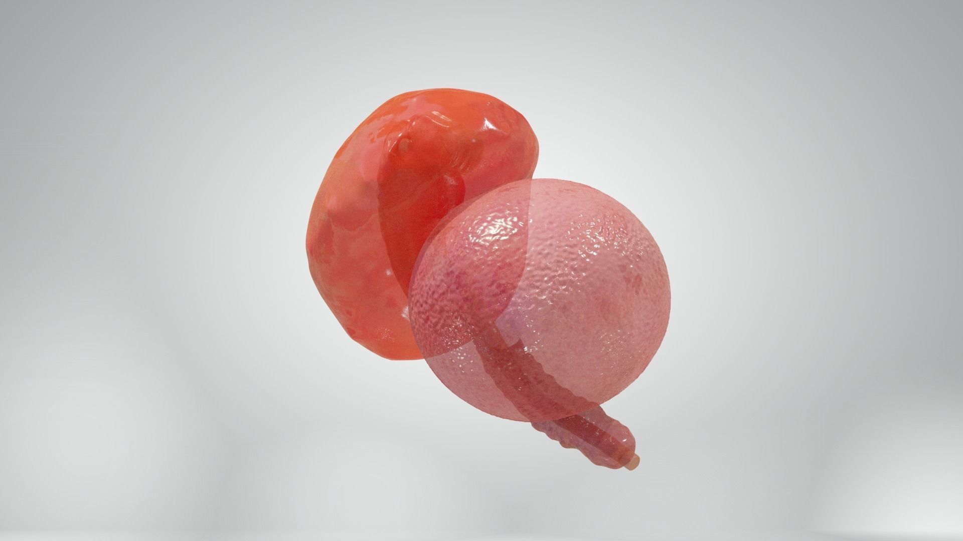 Cycle week 3-4 Low-poly 3D model_2