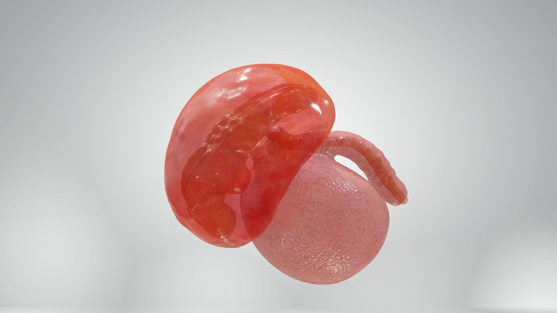 Cycle week 3-4 Low-poly 3D model_10