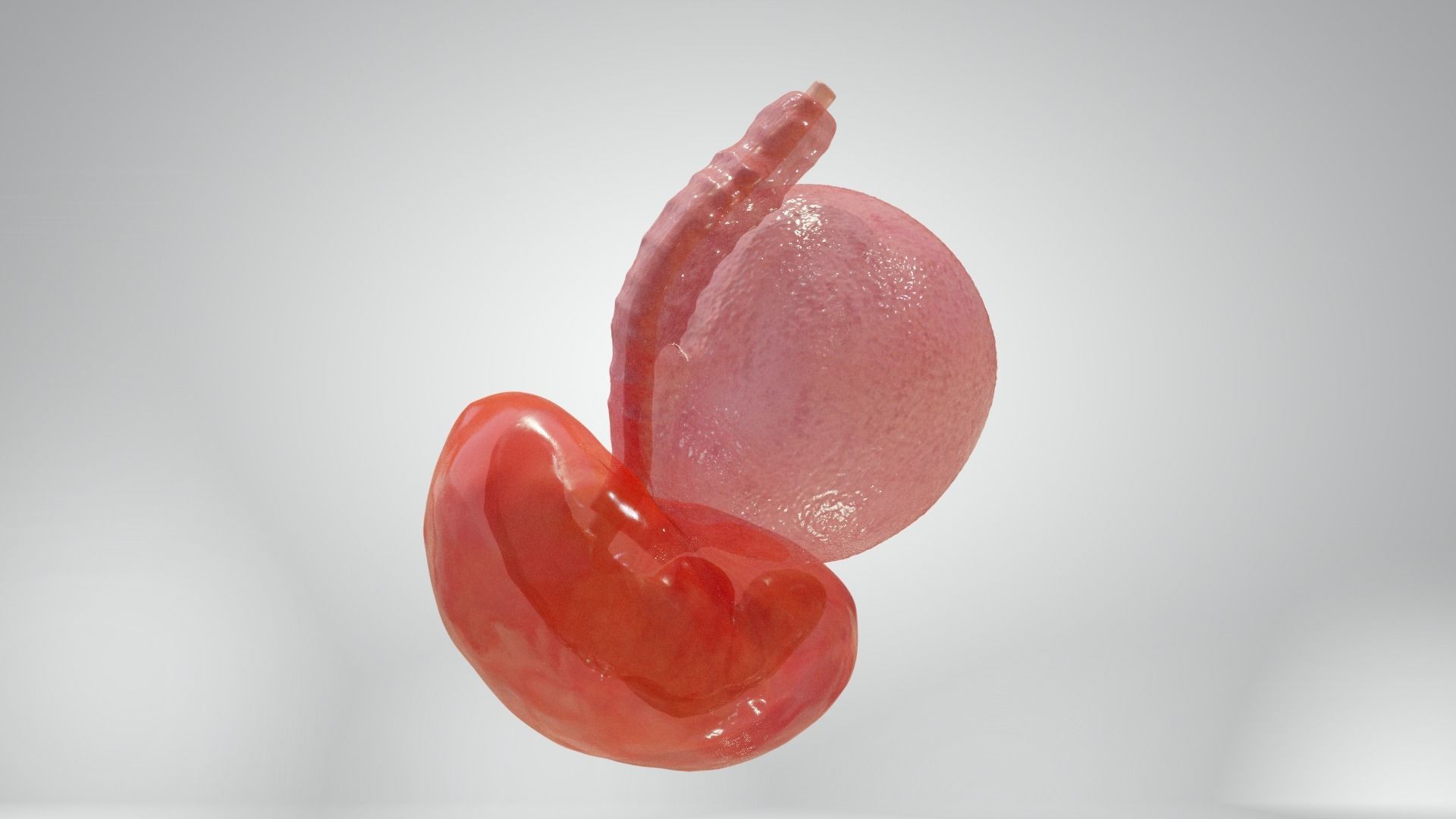 Cycle week 3-4 Low-poly 3D model_12