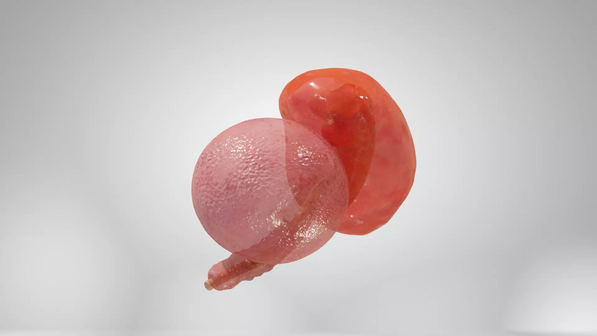 Cycle week 3-4 Low-poly 3D model_0