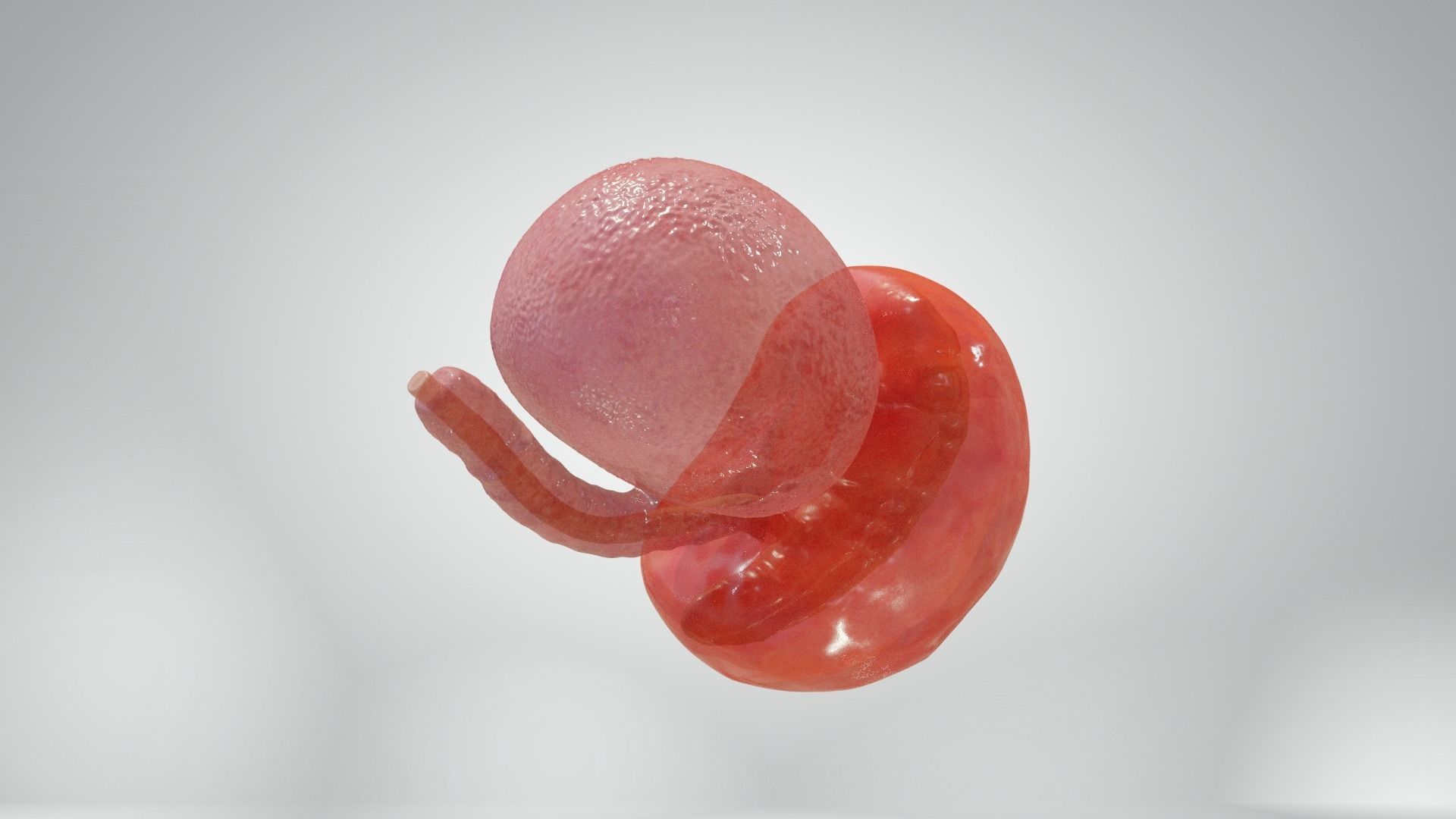 Cycle week 3-4 Low-poly 3D model_14