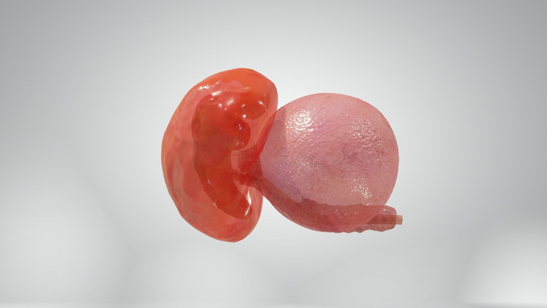 Cycle week 3-4 Low-poly 3D model_3