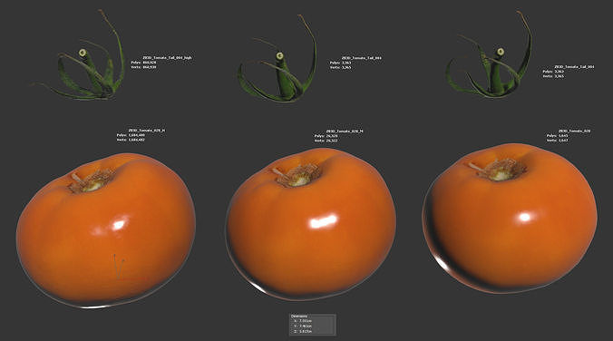 Tomato 3D model 6