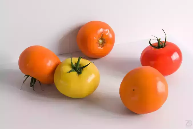Tomato