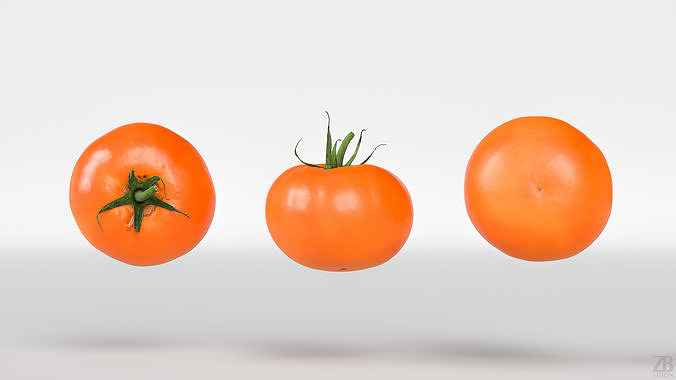Tomato 3D model 5