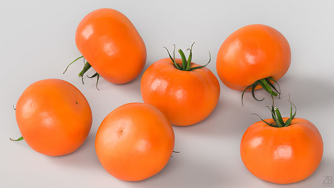 Tomato 3D model 3