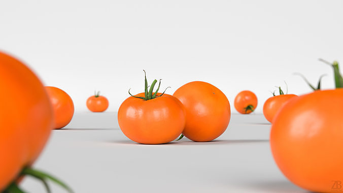 Tomato 3D model 2