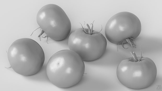 Tomato 3D model 4