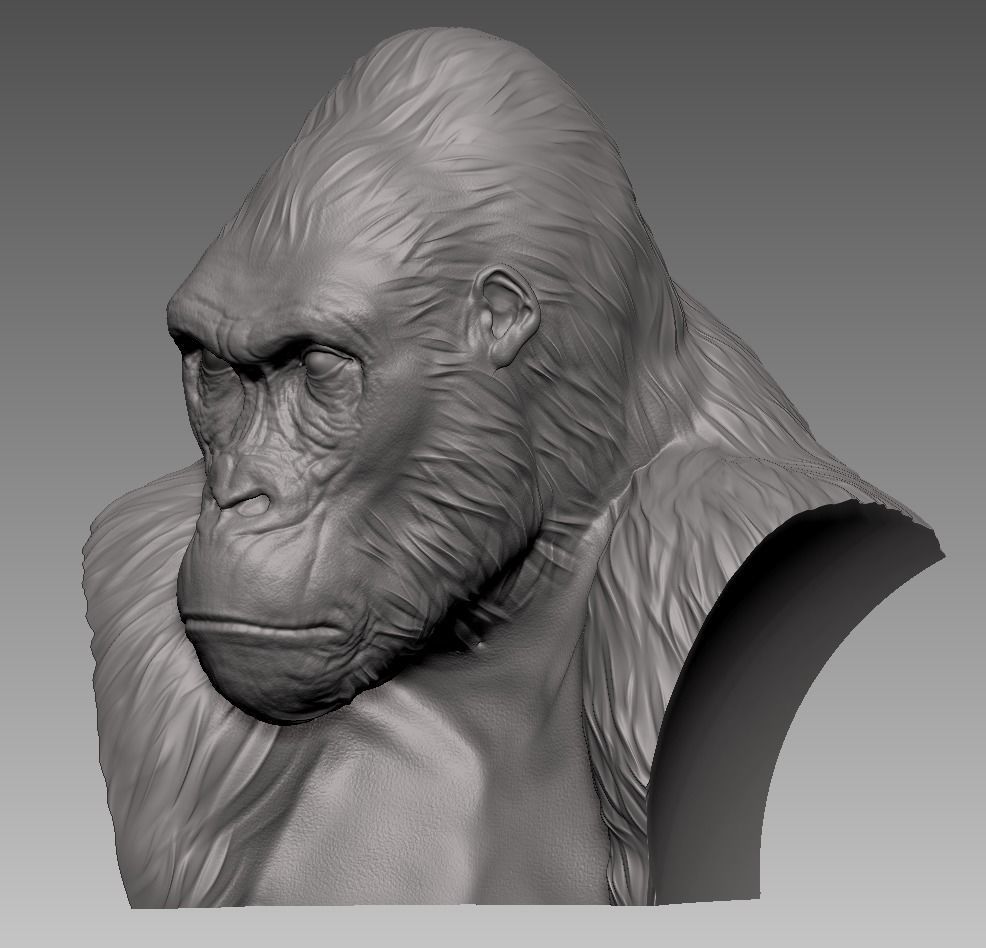 Gorilla Bust 3D print model_3
