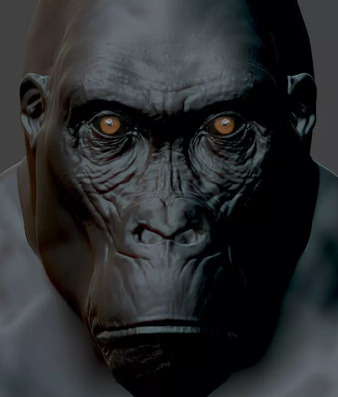 Gorilla Bust 3D print model_0