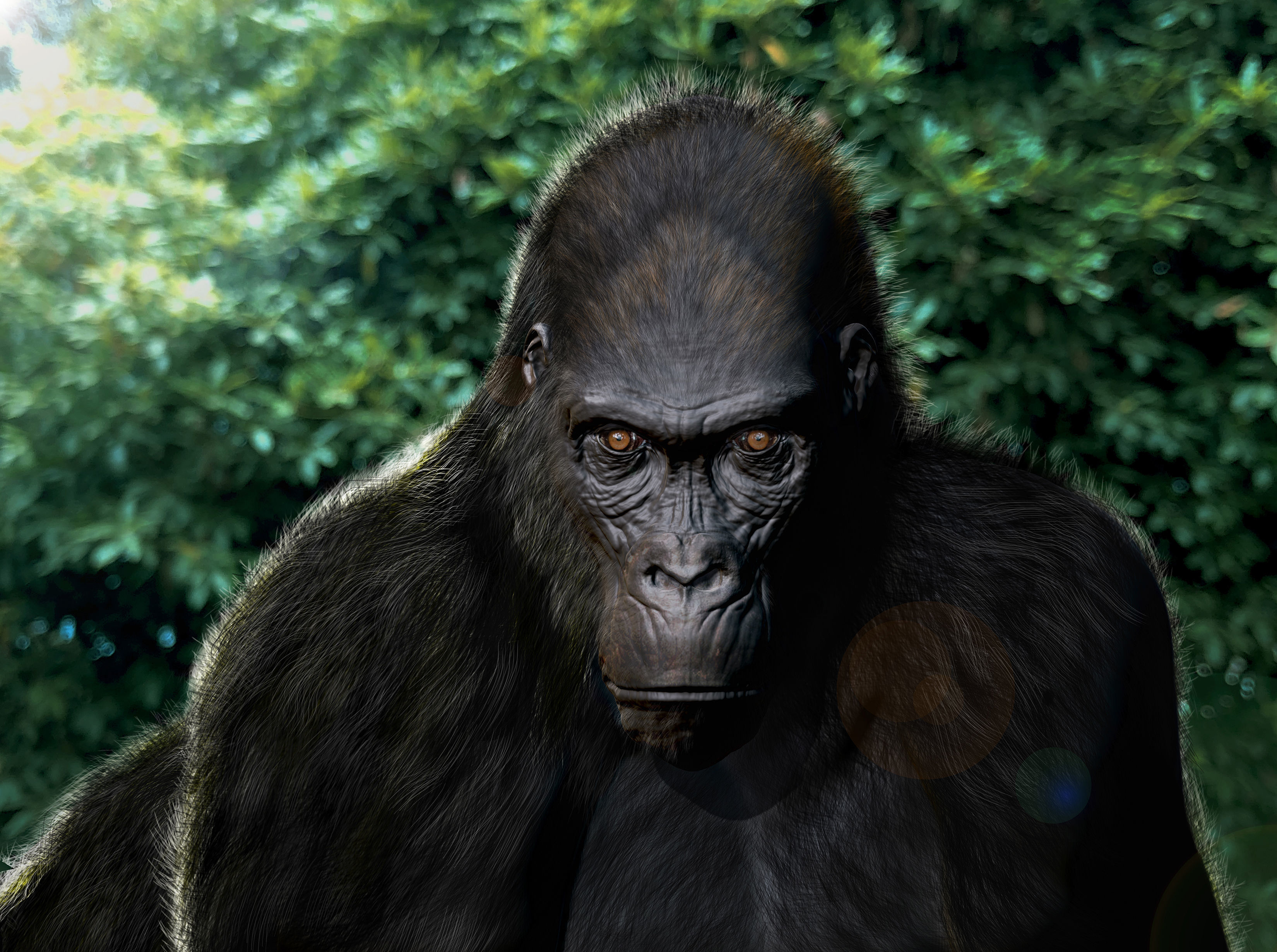 Gorilla Bust 3D print model_1