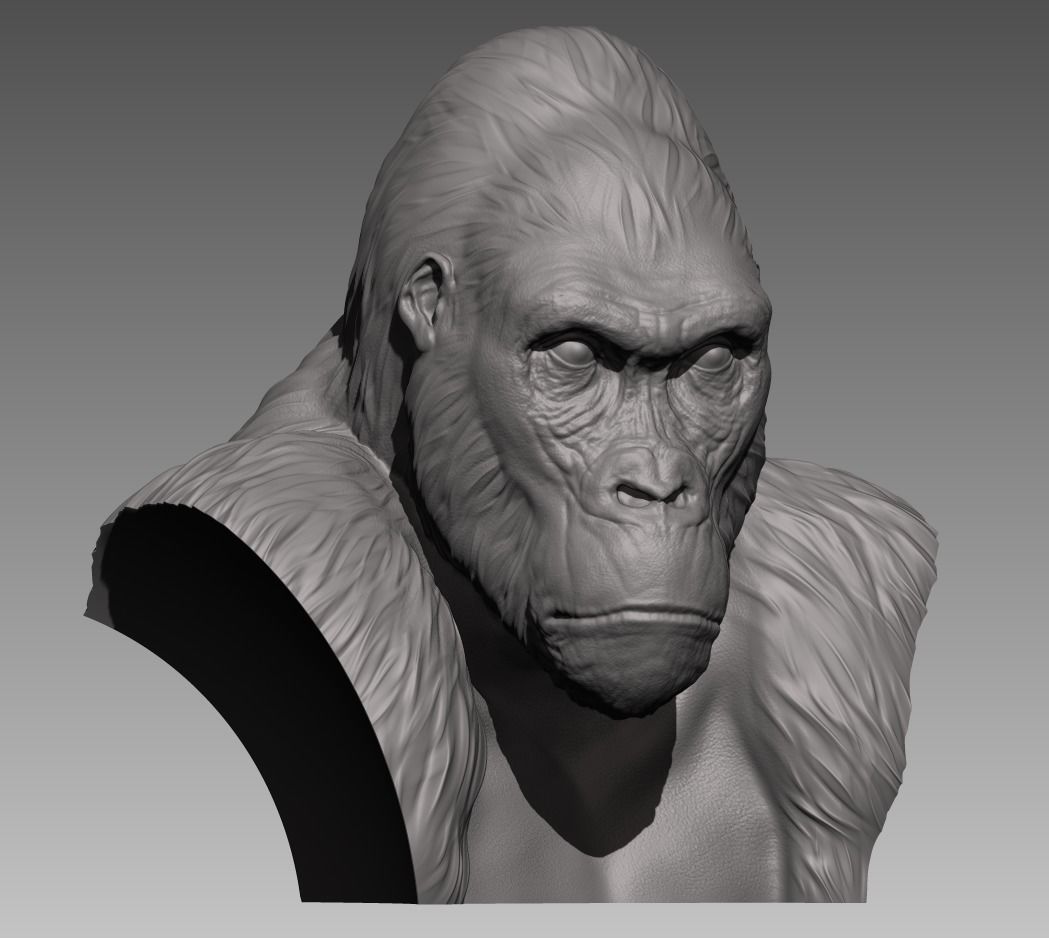 Gorilla Bust 3D print model_2