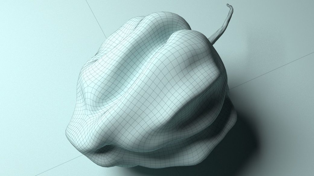 Habanero Chilli Pepper Low-poly 3D model_7