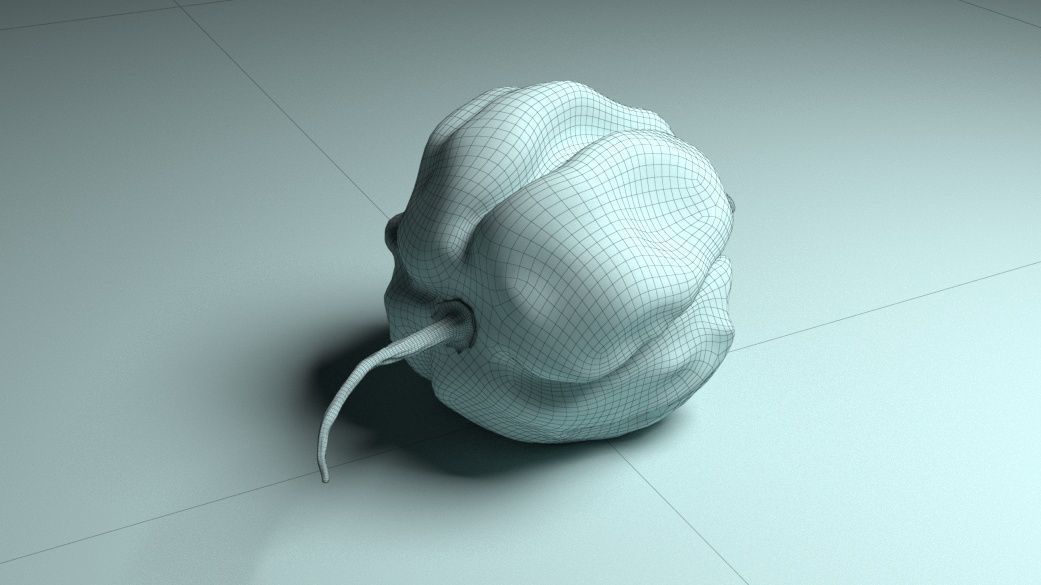 Habanero Chilli Pepper Low-poly 3D model_6