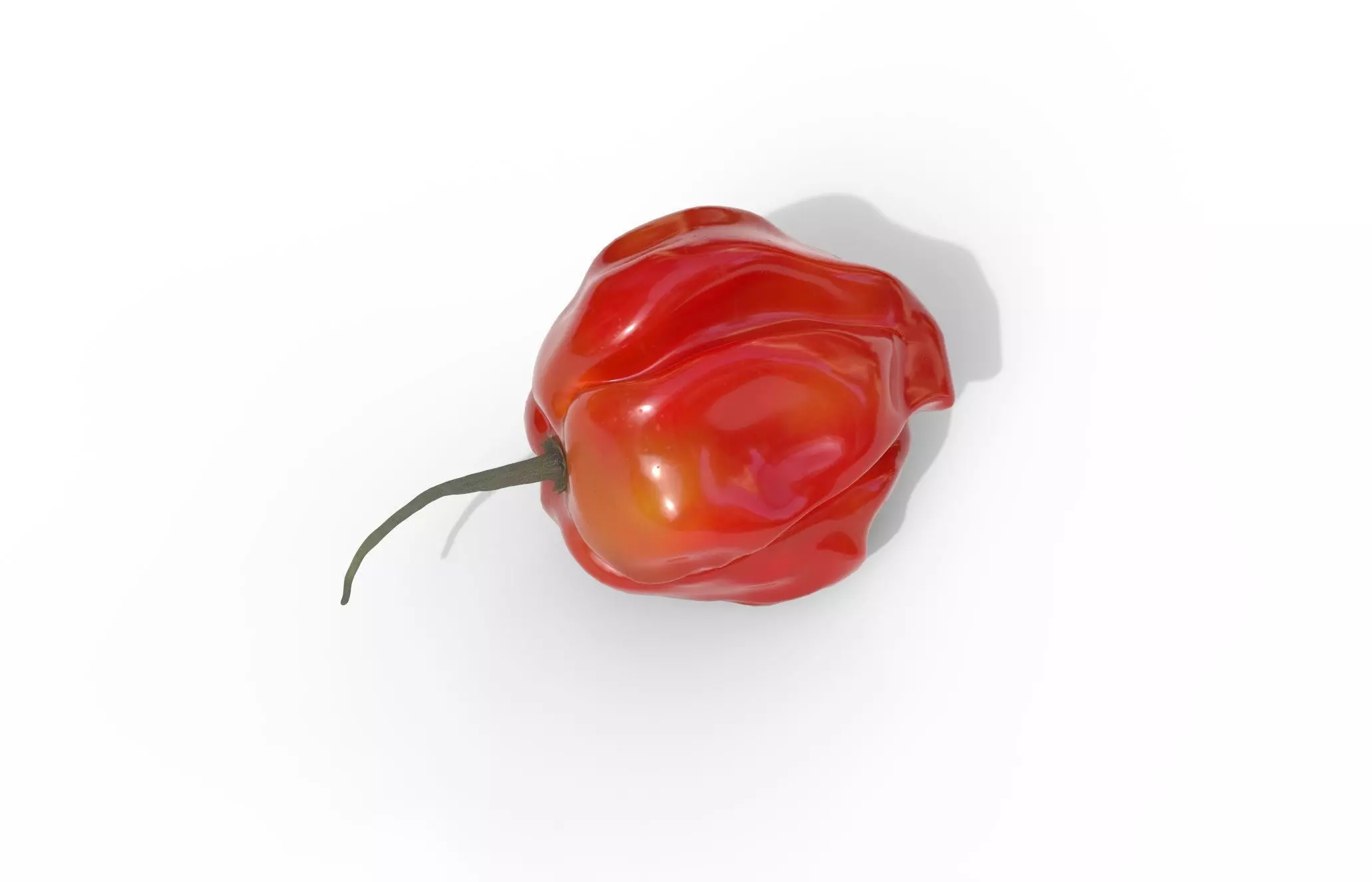 Habanero Chilli Pepper Low-poly 3D model_0