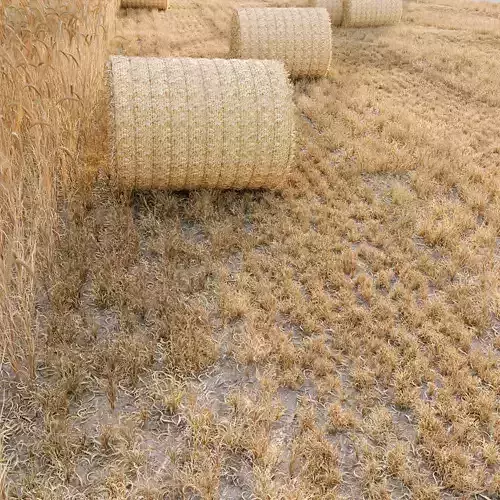 HQ Grass Round Hay Bale Farm Ground 3D model