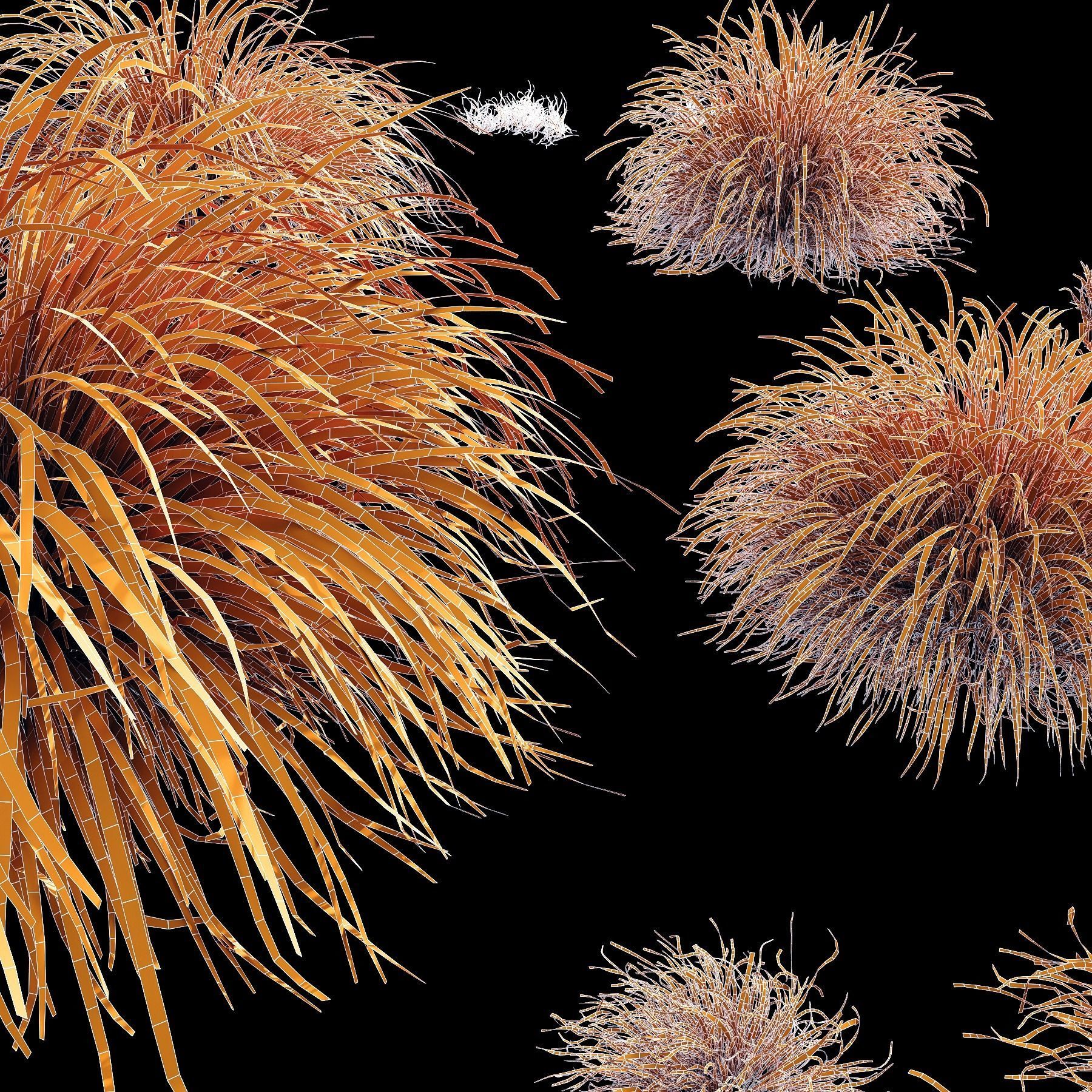 HQ Grass Carex Elata Aurea Field 3D model_3