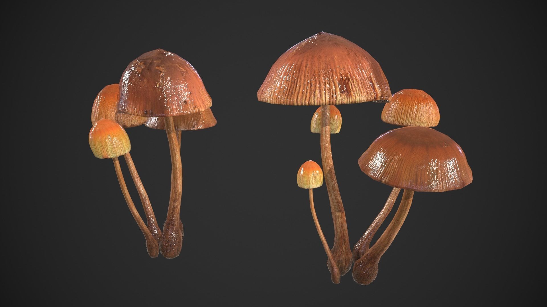 Generic Mushrooms Low-poly 3D model_6