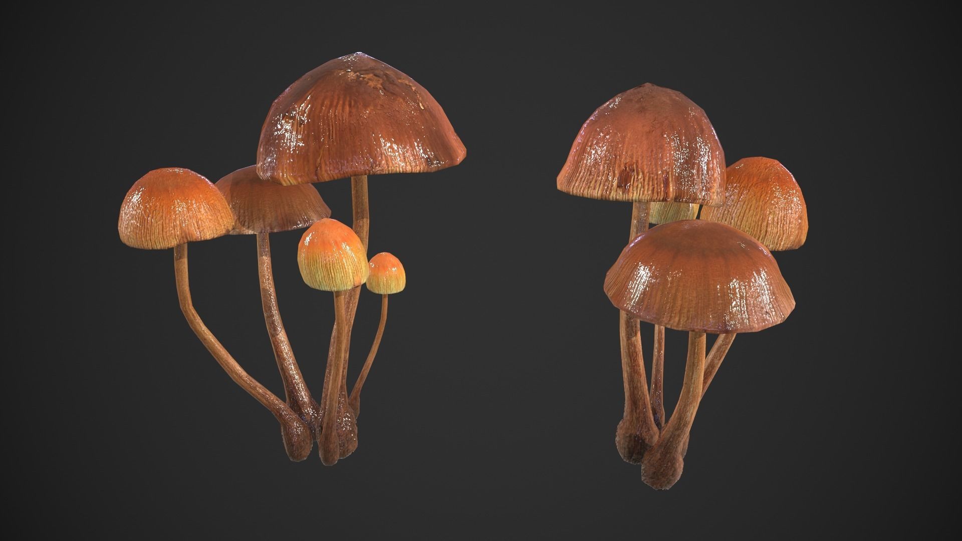 Generic Mushrooms Low-poly 3D model_11