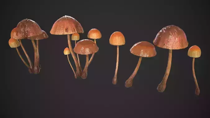 Generic Mushrooms Low-poly 3D model