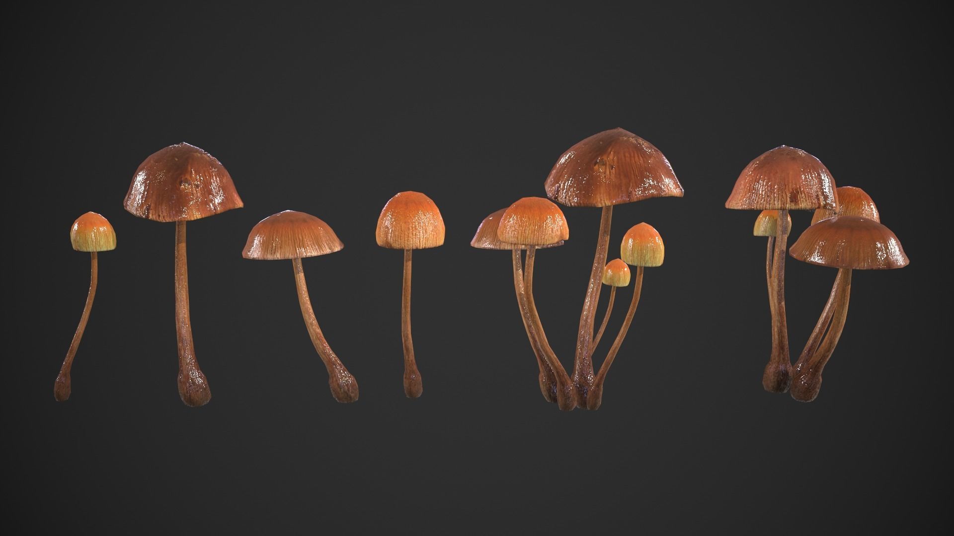 Generic Mushrooms Low-poly 3D model_13