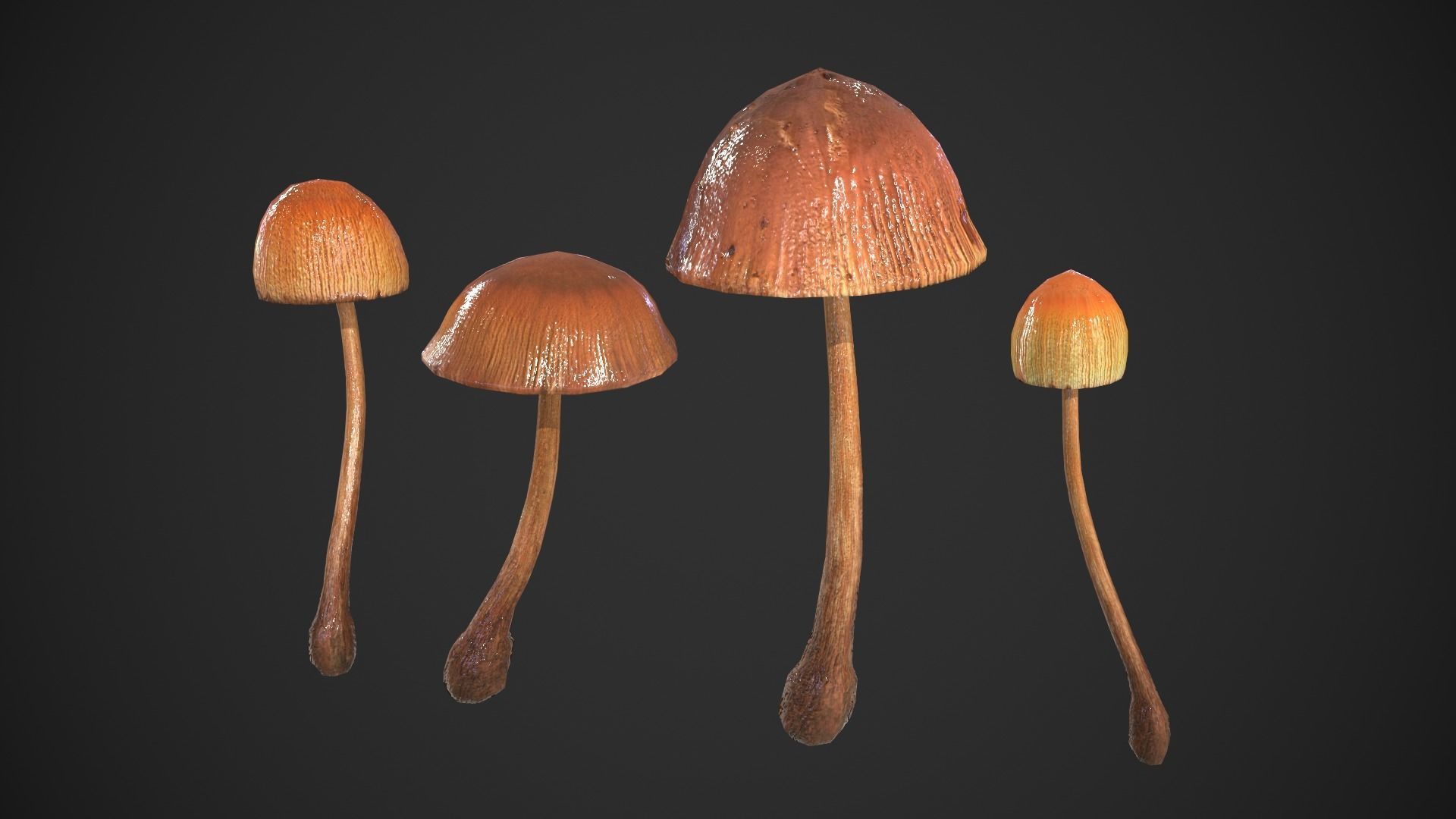 Generic Mushrooms Low-poly 3D model_3