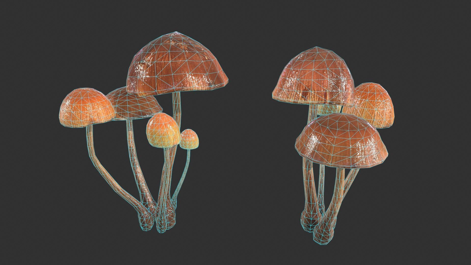 Generic Mushrooms Low-poly 3D model_12