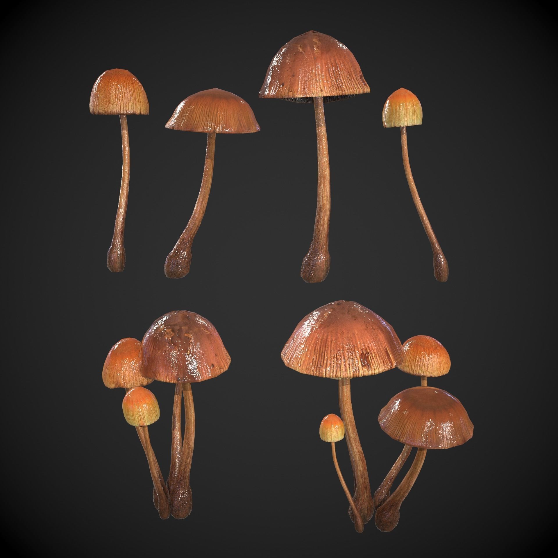 Generic Mushrooms Low-poly 3D model_16